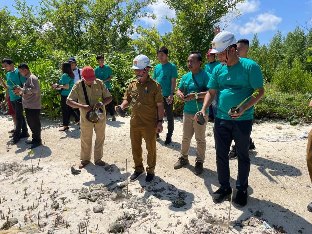 Hari menanam pohon yang diperingati PLN UID Sumatera Utara dengan menanam 15.000 bibit tanaman bakau (mangrove) di 2 lokasi yaitu Nias Utara dan Kecamatan Brandan Barat, Sumut.