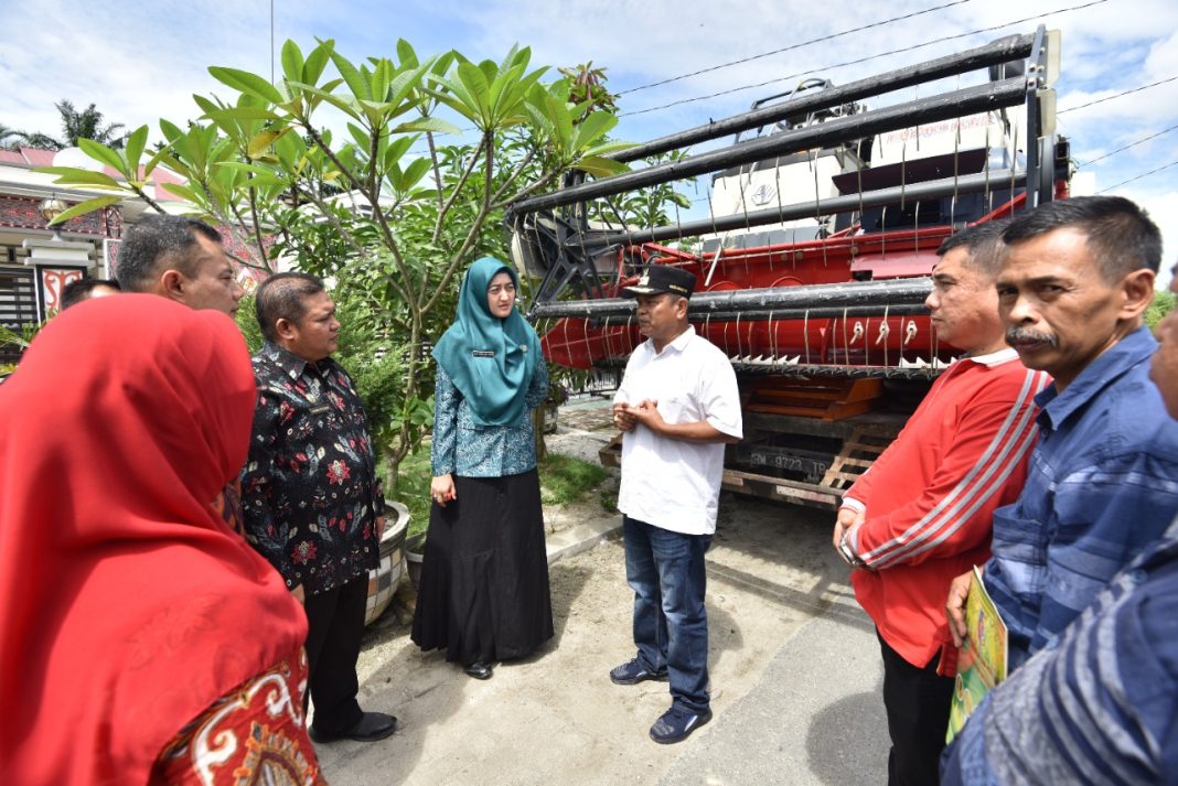 Dinas Pertanian dan Perkebunan Kabupaten Batubara menyerahkan bantuan benih sayuran kepada 10 Desa Percontohan PKK yang digelar di Desa Sumber Tani, Kecamatan Datuk Tanah Datar.