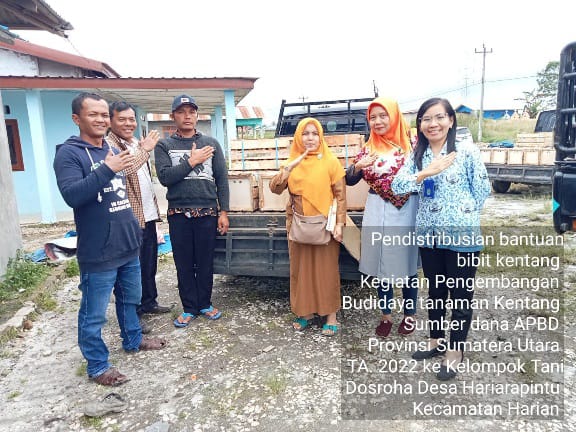 Dinas Ketahanan Pangan dan Pertanian Kabupaten Samosir bersama Dinas Tanaman Pangan Hortikultura Provinsi Sumut mendistribusikan bantuan bibit kentang dan pupuk organik kegiatan pengembangan budidaya tanaman kentang sumber dana P-APBD Provinsi Sumut 2022.