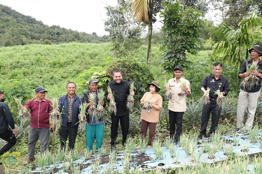 Bupati Pakpak Bharat Franc Bernhard Tumanggor membagikan ribuan benih ikan jenis nila dan mujair bagi beberapa kelompok tani di wilayah Kabupaten Pakpak Bharat. Pada kesempatan itu juga, Franc mengikuti panen perdana bawang merah.