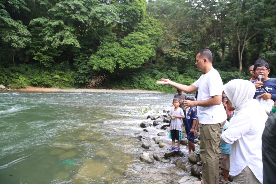 Wakil Gubernur Sumut Musa Rajekshah bersama Masyarakat Peduli Sungai Bahorok memberi makan ikan larangan yang tersebar di beberapa lubuk (bagian sungai yang dalam) di depan Jungle Inn Desa Perkebunan Bukit Lawang, Jumat (26/5/2023). (Dok/Kominfo Sumut)