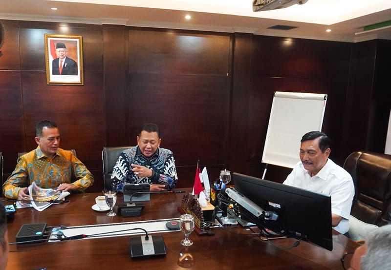 Wakil Gubernur Sumut Musa Rajekshah menemui Menko Marves Luhut Binsar Panjaitan di Jakarta.