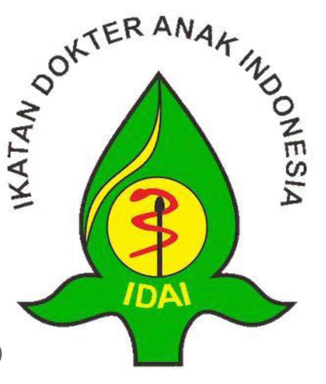 Logo IDAI