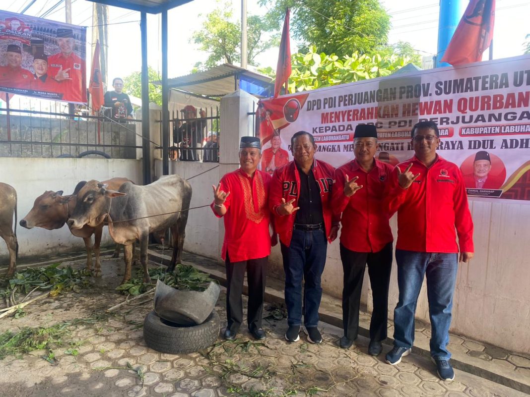 Ketua DPD PDI Perjuangan Sumut Drs Rapidin Simbolon MM foto bersama dengan lainnya usai menyerahkan hewan kurban di Kantor DPC PDI Perjuangan Kabupaten Labuhanbatu, Kamis (29/6/2023). (Dok/PDIP Sumut)
