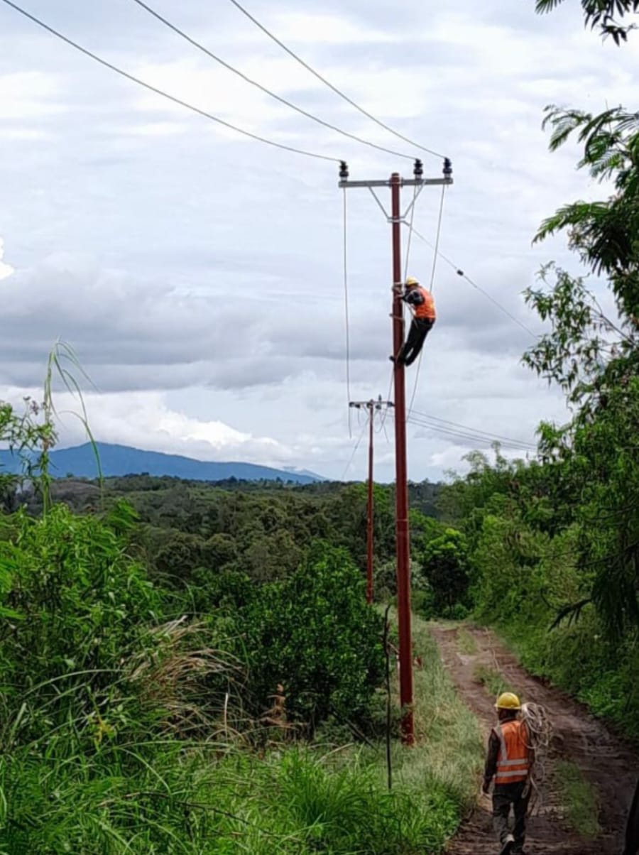 Petugas PLN saat memasang jaringan listrik di daerah tertinggal Sumut. (Dok/PLN)