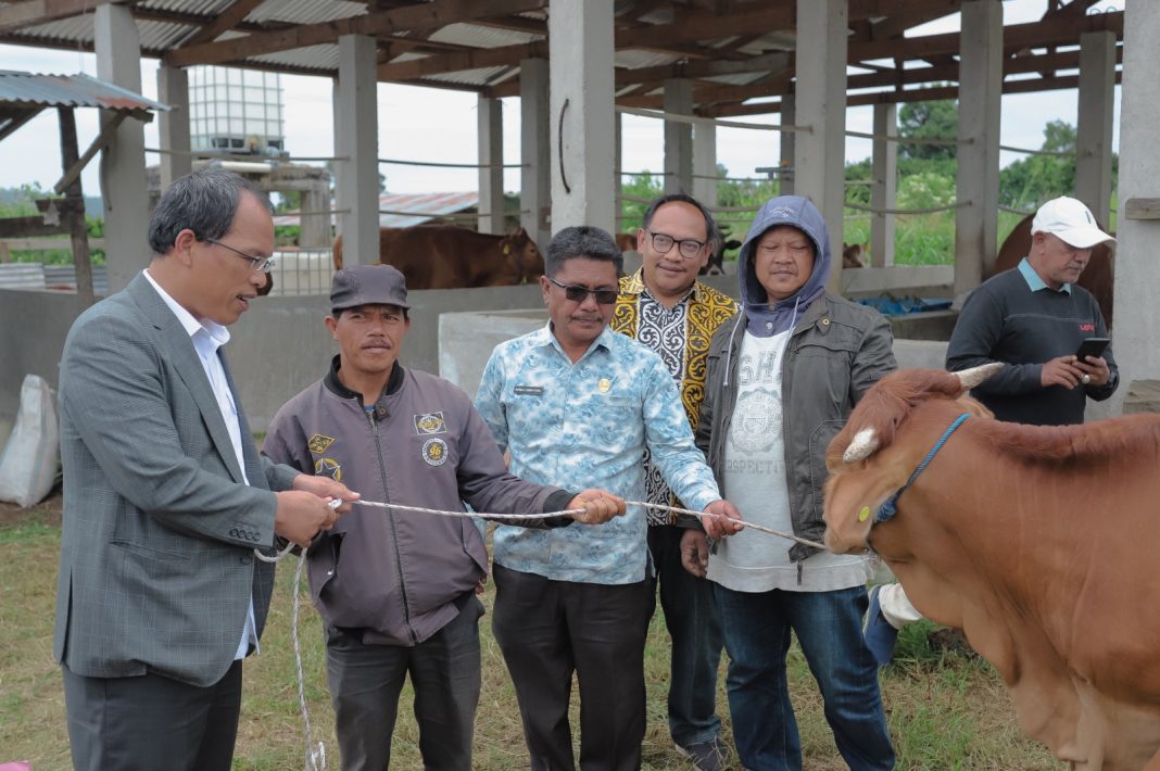 Bupati Humbahas Dosmar Banjarnahor didampingi Kadis Peternakan dan Perikanan, Parman Lumban Gaol dan Kabid Peternakan, Bastian Sihombing menyerahkan 56 ekor ternak sapi kepada masyarakat melalui kelompok tani di Desa Siponjot Kecamatan Lintongnihuta, Jumat (14/7/2023). (Dok/Kominfo Humbahas)