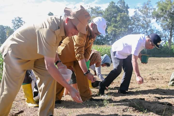 Bupati Humbahas Dosmar Banjarnahor menanam jagung bersama Kelompok Tani Serasi di Desa Pearung Silali Kecamatan Paranginan, Senin (24/7/2023). (Dok/Kominfo Humbahas)