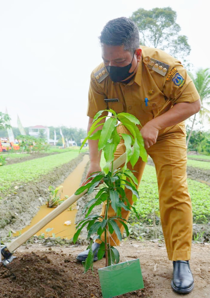 Pj Wali Kota Tebingtinggi Syarmadani menanam pohon mangga diacara Memperingati Hari Lingkungan Hidup Sedunia tahun 2023 yang dilaksanakan di lingkungan 2 Kelurahan Pinang Mancung, Kecamatan Bajenis, Selasa (8/8/2023).