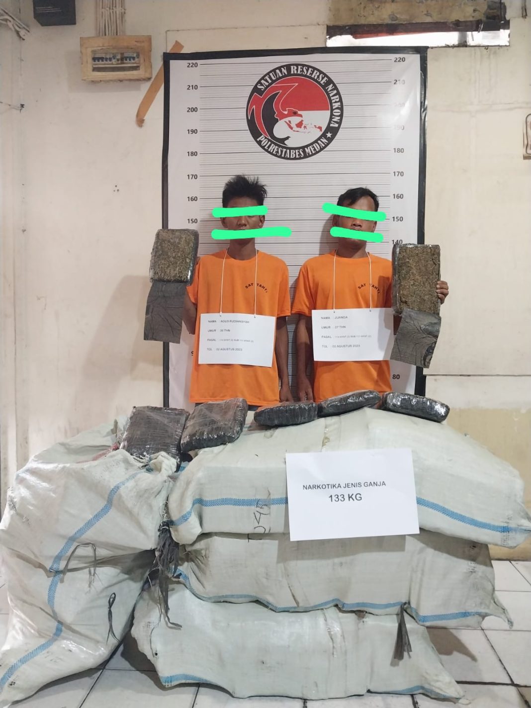 Dua kurir narkoba masing-masing berinisial AR dan Ju diamankan di Mako Satres Narkoba Polrestabes berikut barang bukti 133 Kg ganja, Minggu (3/9/2023). (Dok/Polrestabes Medan)