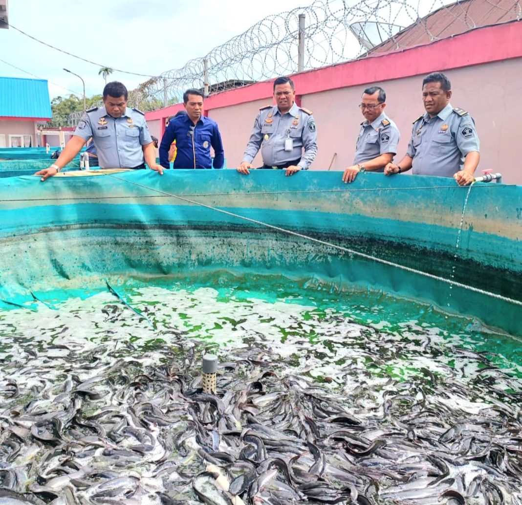 Kepala Rutan Kabanjahe Chandra Syahputra Tarigan didampingi Kasubsi Yantah menyaksikan ternak ikan lele warga binaan yang dipanen di lingkungan Rutan, Senin (4/9/2023).