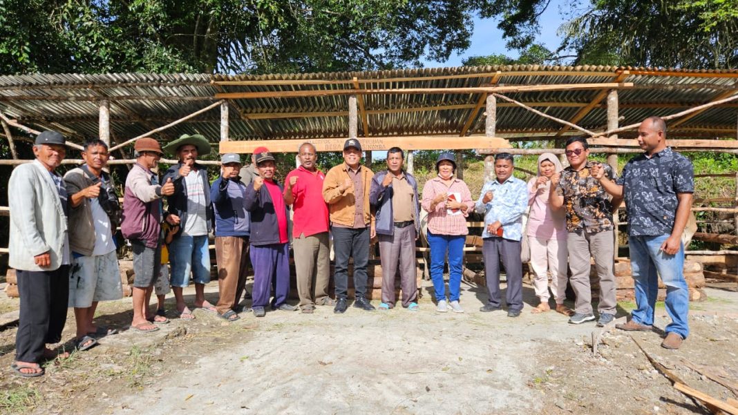 Anggota DPRD Provinsi Sumut Irwan Simamora foto bersama dengan perwakilan Dinas Perkebunan dan Peternakan Sumut dan pengurus dan anggota Kelompok Tani Marsitoguan, Desa Pariksinomba, Kecamatan Dolok Sanggul, usai menerima bantuan ternak lembu, Kamis (7/9/2023).