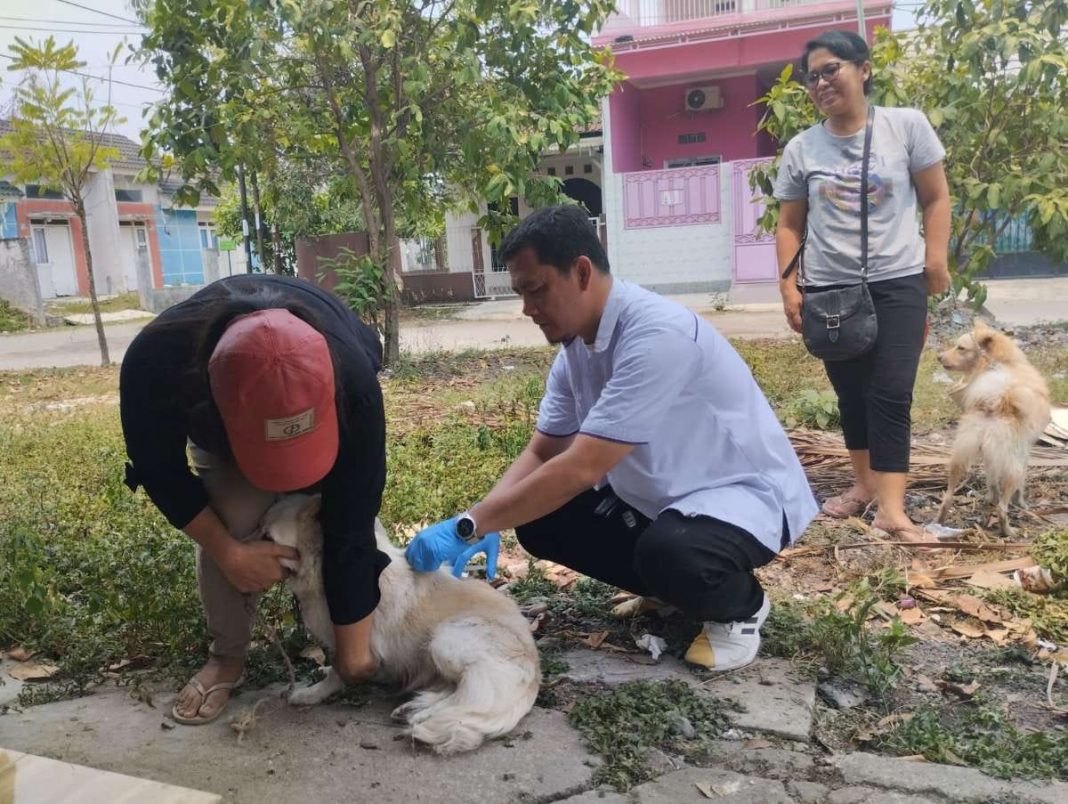 Diskanak Kabupaten Bogor melakukan giat vaksinasi rabies massal gratis bagi hewan peliharaan milik masyarakat Kabupaten Bogor yang dilaksanakan mulai 1 September hingga 7 Oktober 2023. (Dok/Kominfo Jawa Barat)