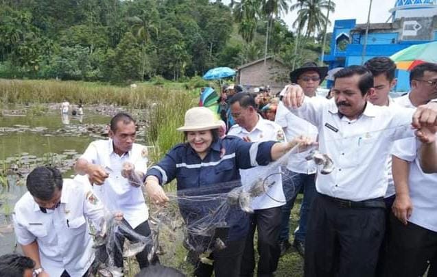 Bupati Karo Cory Sriwati Sebayang didampingi OPD dan warga memanen ikan di kolam ikan Tambak Mbelang Desa Susuk, Rabu (25/10/2023). (Dok/Kominfo Karo)