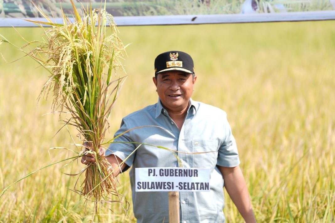 Pj Gubernur Sulawesi Selatan Bahtiar Baharuddin kembali melakukan panen raya di Kabupaten Gowa, Sabtu (21/10/2023). (Dok/Kominfo Sulawesi Selatan)