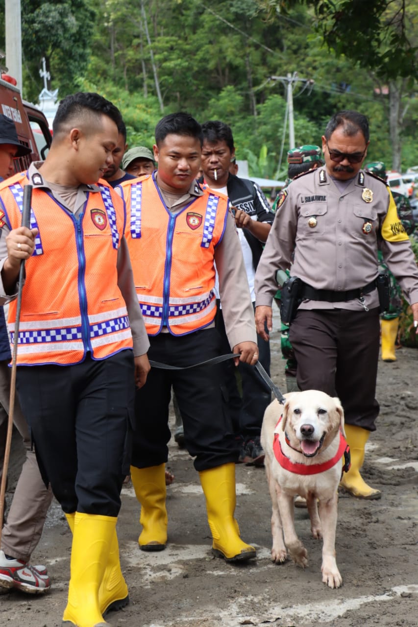 Polda Sumut turunkan K9 untuk mencari 12 warga yang hilang akibat bencana alam tanah longsor yang terjadi di Dusun III, Desa Simangulampe, Kecamatan Bakti Raja, Kabupaten Humbahas, Minggu (3/12/2023). (Dok/Polda Sumut)