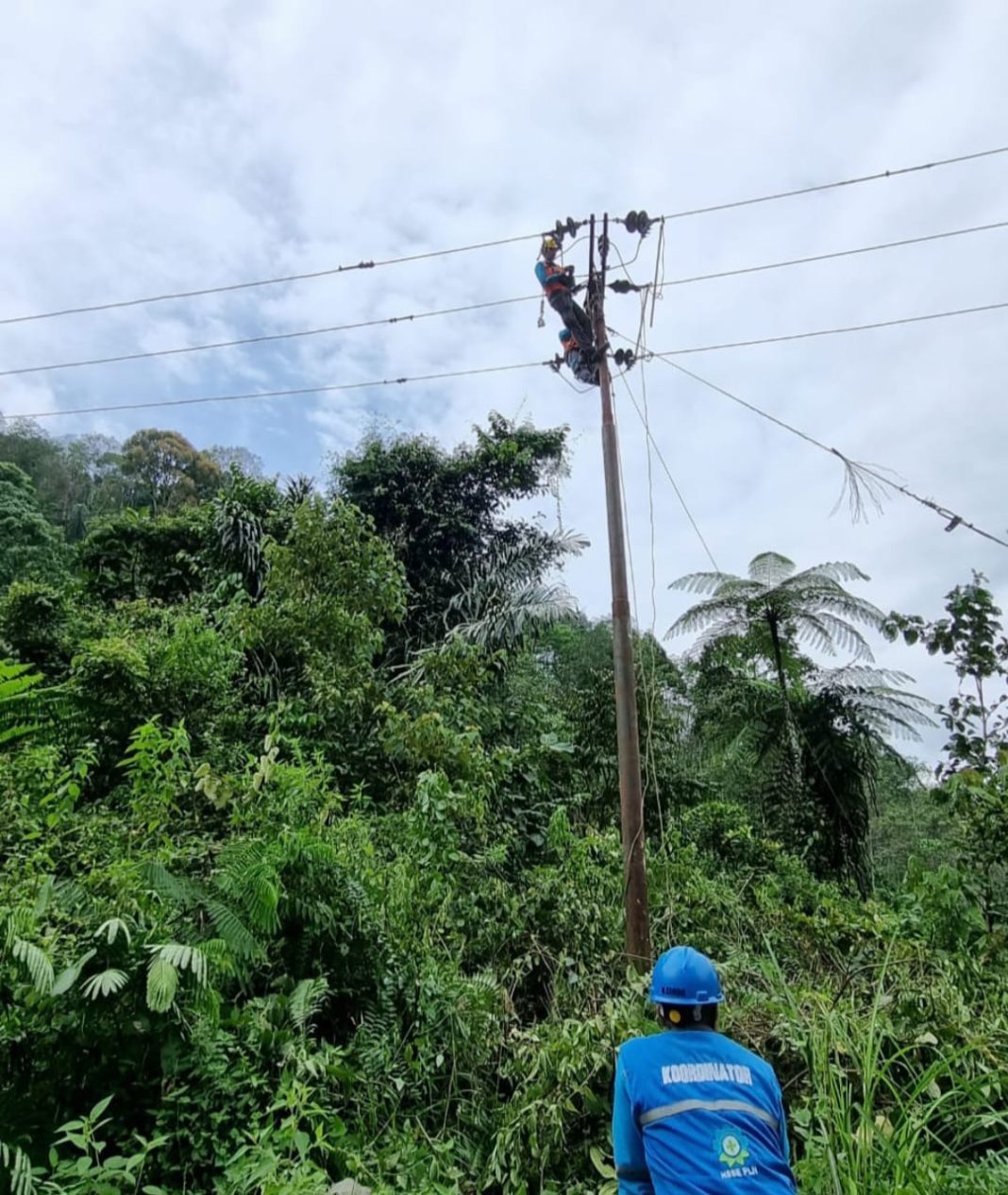 Petugas PLN dengan sigap melakukan pemulihan jaringan pasca tanah longsor di Kabupaten Mandailing Natal.