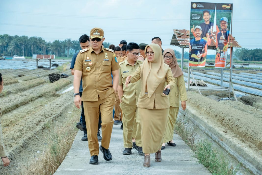 Pj Bupati Batubara Nizhamul SE MM mengunjungi para petani cabai di Kawasan Sentra Cabai di Desa Lubuk Cuik, Kecamatan Lima Puluh Pesisir, Senin (15/1/2024). (Dok/Kominfo Batubara)