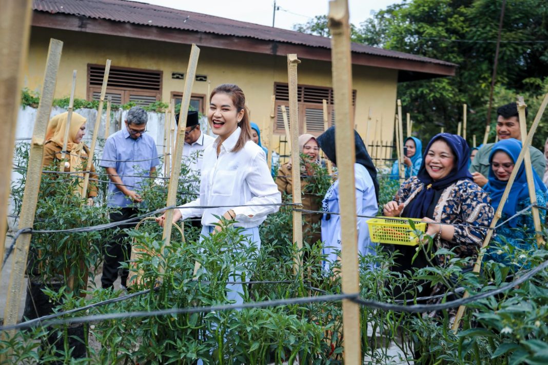 Ketua TP PKK Kota Medan Kahiyang Ayu Bobby Nasution melakukan panen Cabai merah bersama kelompok tani Bogainvile di lahan pekarangan jalan Karikatur, Kelurahan Pulo Brayan Darat II, Kecamatan Medan Timur, Senin (12/2/2024). (Dok/Kominfo Medan)