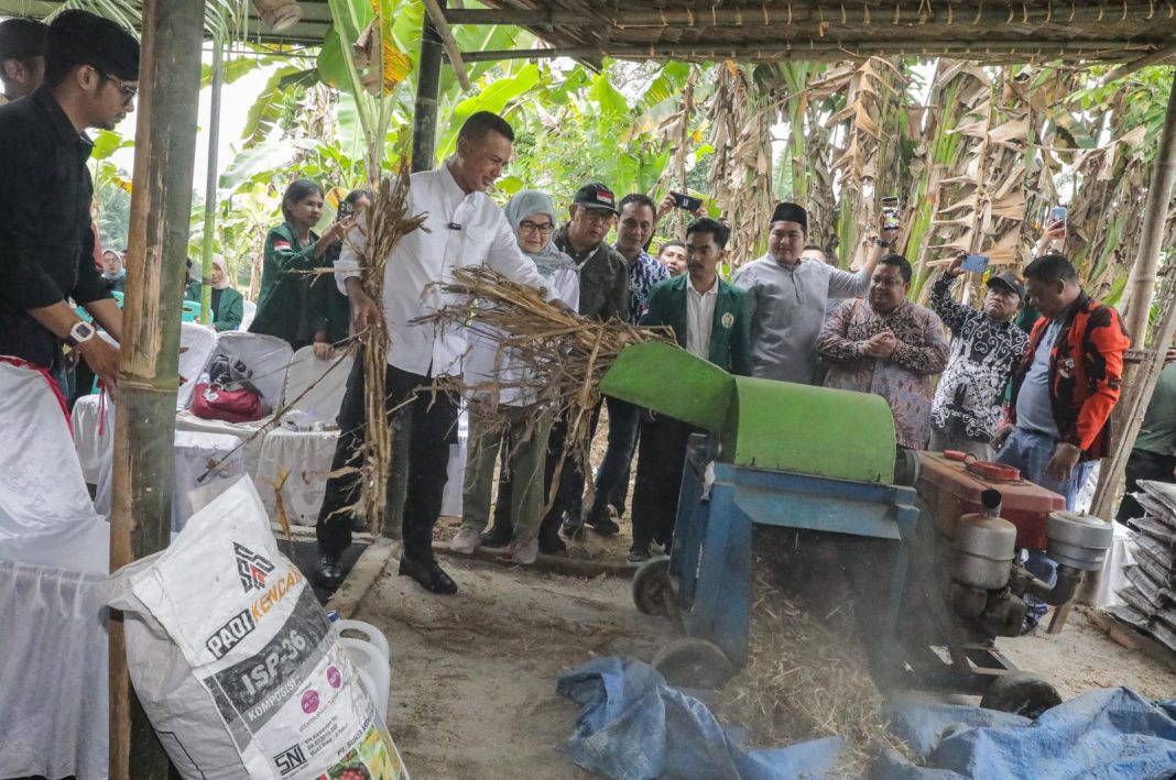 Musa Rajekshah hadir di peresmian Rumah Pupuk Kompos di Kecamatan Pantai Labu, Kabupaten Deliserdang, Senin (12/2/2024). (Dok/Tim Ijeck)