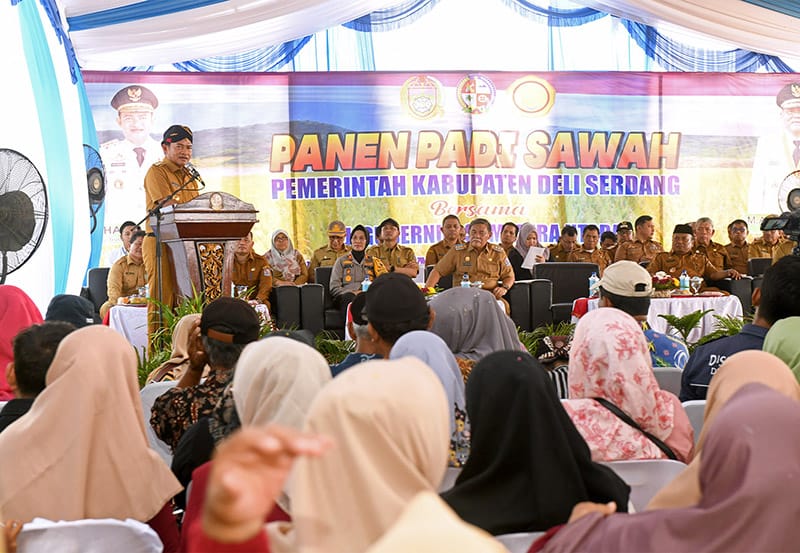 Pj Gubernur Sumut Dr Hassanudin bersama lainnya panen padi sawah di Desa Wonosari, Tanjungmorawa, Deliserdang, Selasa (27/2/2024). (Dok/Kominfo Sumut)