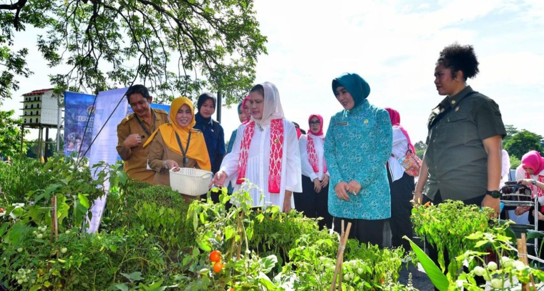 Ibu Negara Republik Indonesia, Ny Iriana Joko Widodo dan Ibu Wury Ma’ruf Amin bersama anggota OASE KIM mensosialisasikan ketahanan pangan di Alun-alun Cirimekar, Kabupaten Bogor, Jawa Barat, Senin (4/3/2024).