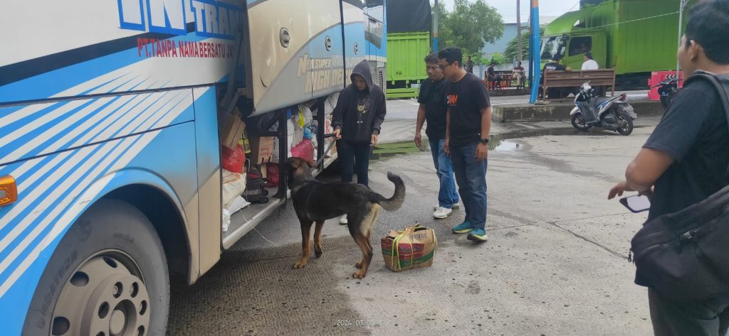 Operasi Seaport Interdiction melibatkan tim K-9 Narkotik Korps Sabhara Baharkam Polri selama 10 hari, dari tanggal 3-12 Maret 2024. (Dok/Humas Polri)