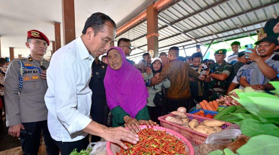 Presiden Jokowi meninjau langsung ketersediaan dan harga sejumlah bahan pangan dalam kunjungan kerjanya ke Pasar Sebukit Rama, Kabupaten Mempawah, Provinsi Kalbar.