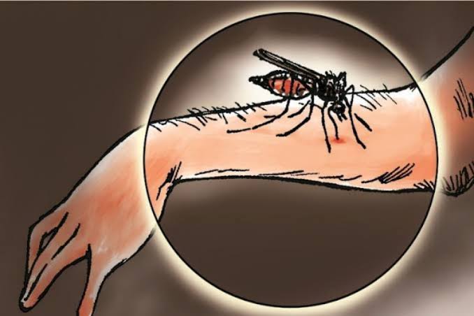 Ilustrasi kasus malaria.