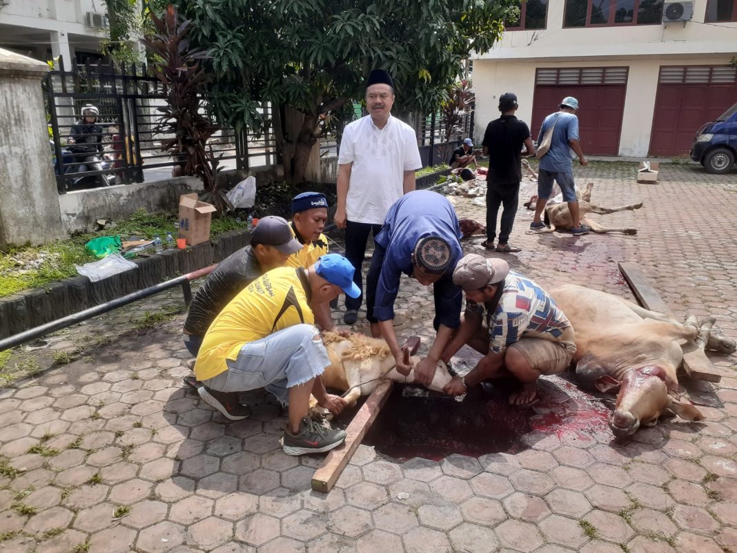 Ketua PWI Sumut Farianda Putra Sinik menyaksikan hewan kurban yang disembelih pada tahun ini. (Dok/PWI)