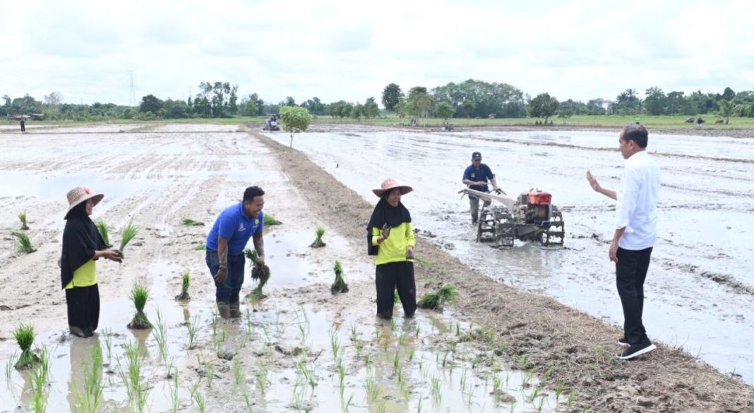 Presiden Jokowi meninjau langsung pelaksanaan bantuan pompa untuk pengairan sawah dan pertanian (pompanisasi) di Desa Bapeang, Kabupaten Kotawaringin Timur, Kalteng.
