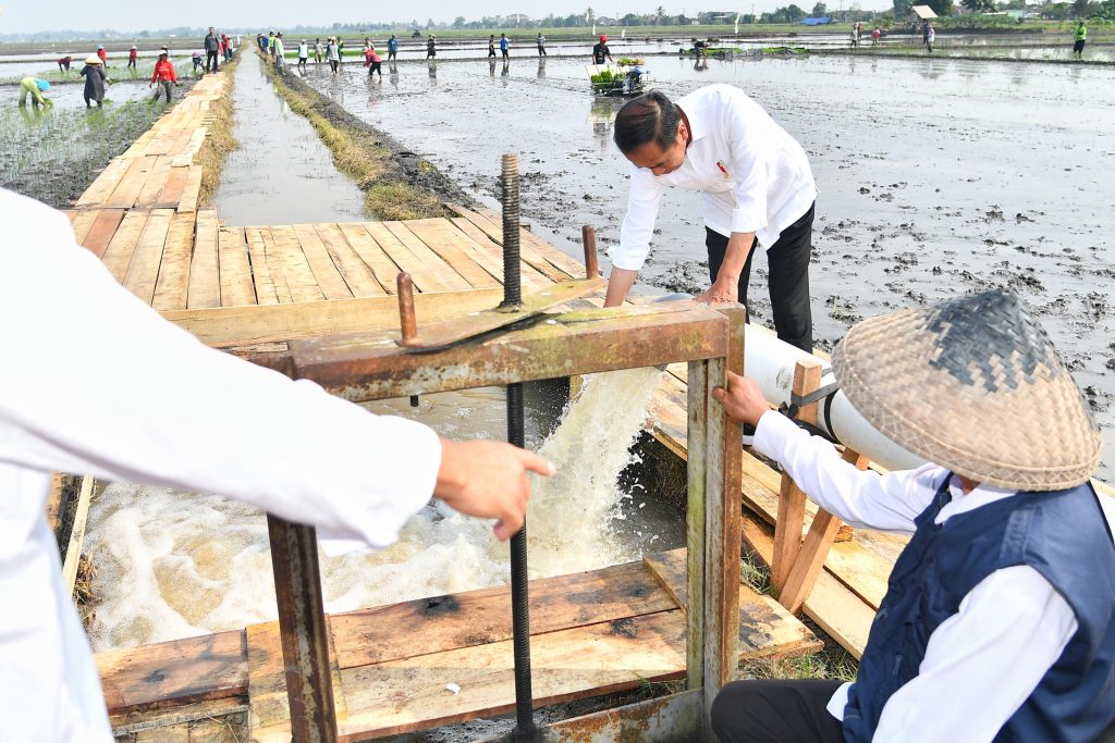 Presiden Jokowi meninjau program pemberian bantuan pompa untuk pengairan sawah dan pertanian di Desa Bandan Hurip, Kabupaten Lampung Selatan, Provinsi Lampung, Kamis (11/7/2024). (Dok/BPMI Setpres)