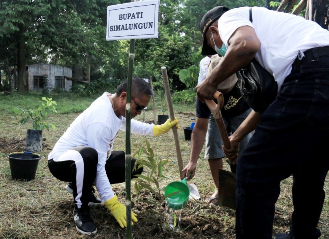 Sekretaris Daerah Simalungun Esron Sinaga melakukan penanaman pohon saat kampanye sadar wisata di Desa Wisata Karanganyar, Kecamatan Gunungmaligas, Kamis (25/7/2024). (Dok/Kominfo Simalungun)