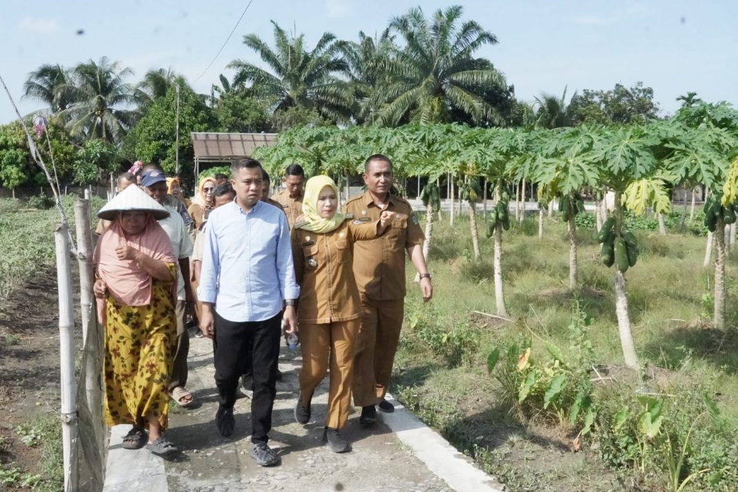 Pj Wali Kota Tebingtinggi Dr Moettaqien Hasrimi saat mengunjungi objek Kampung Wisata Sayur di Kecamatan Bajenis, Selasa (30/7/2024). (Dok/Kominfo Tebingtinggi)