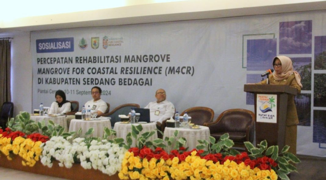 Pj Sekda Sergai Rusmiani Purba membacakan sambutan tertulis Bupati Sergai H Darma Wijaya pada kegiatan sosialisasi percepatan rehabilitasi mangrove dan pencanangan perlindungan serta pengelolaan ekosisten mangrove di Aula Theme Park, Kecamatan Pantaicermin, Selasa (10/9/2024). (Dok/Kominfo Sergai)