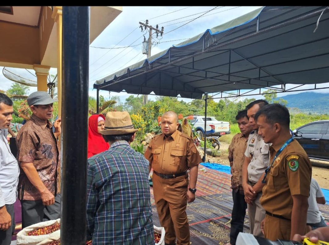 Petugas Dinas Perdagangan dan Koperasi UKM Tapanuli Selatan (tengah) sedang berdialog dengan Nanang Gunawan, pelaku usaha MJ Coffee saat meresmikan koperasi syariah Maju Bersama di Desa Sampean, Kecamatan Sipirok, Sumut, Sabtu (14/9/2024). (Dok/PLN)