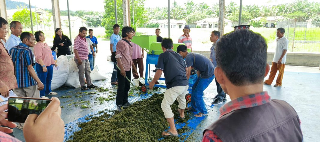 PLN UIP SBU melalui UPP SBU 4, menggelar kegiatan Program Pelatihan Tata Kelola Organisasi & Irigasi dan Pelatihan Pembuatan Pupuk Organik di Perkumpulan Petani Pemakai Air (P3A) Satahi Bondar Meranti, pada 26-27 September 2024. (Dok/PLN)