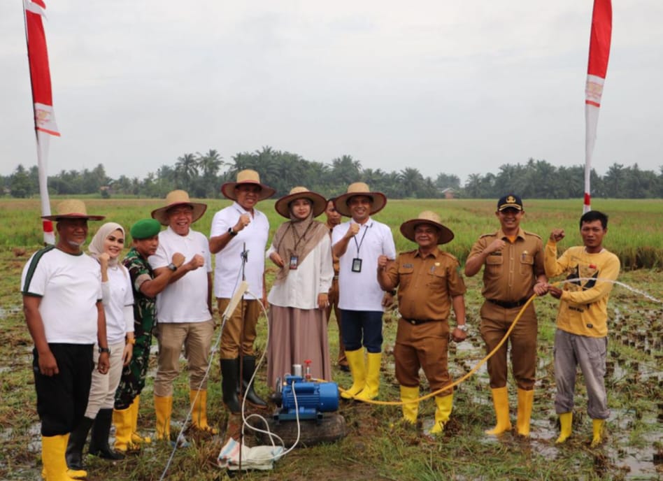 PLN UP3 Binjai bersama Tim Pengendalian Inflasi Daerah (TPID) Kabupaten Langkat dan perwakilan kelompok tani setempat secara simbolis mengoperasikan pompa air yang dialiri listrik melalui BIS LIPIN. (Dok/ PLN)