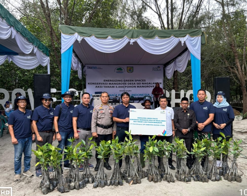 Dalam rangka menyambut Hari Menanam Pohon Indonesia tahun 2024, PLN UIP SBU melakukan Aksi Tanam 5000 Pohon Mangrove di Sergai, Rabu (20/11/2024). (Dok/PLN)