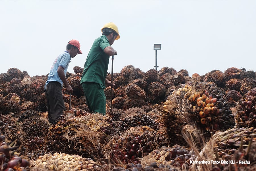 Perkembangan hilirisasi industri kelapa sawit Indonesia dalam acara Sosialisasi Implementasi Ketentuan Terkait Ekspor dan Pungutan Ekspor atas Komoditas Kelapa Sawit di Surabaya. (Dok/Kemenkeu)