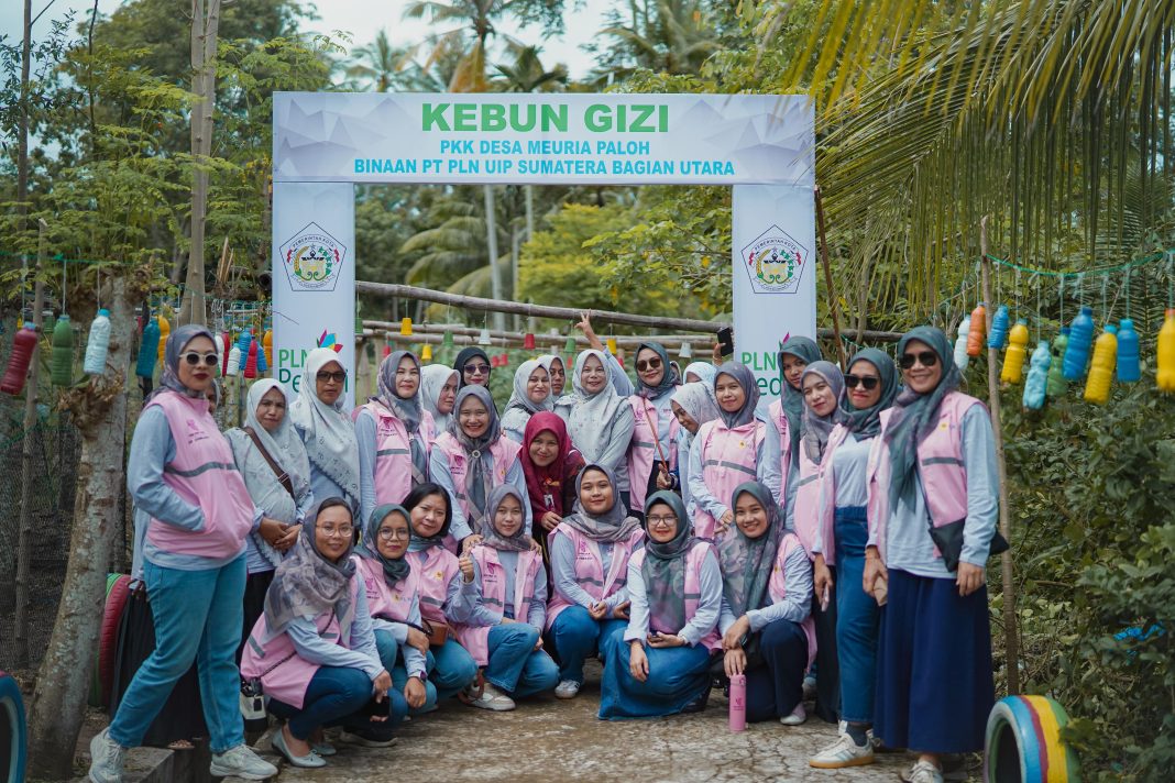 Srikandi PLN Movement 2024 jajaran Unit Induk Pembangunan Sumatera Bagian Utara (UIP SBU) foto bersama disela saat menggelar Aksi Peduli Kesehatan Ibu dan Anak di Desa Meuria Paloh, Lhokseumawe, Sabtu (23/11/ 2024). (Dok/PLN)