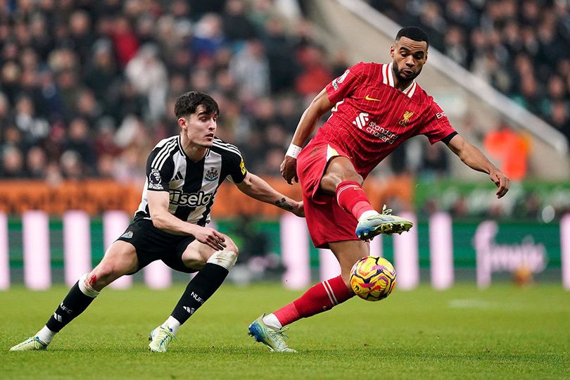 Duel Cody Gakpo dan Tino Livramento di laga Newcastle vs Liverpool, Premier League 2024/2025, Kamis (5/12/2024).