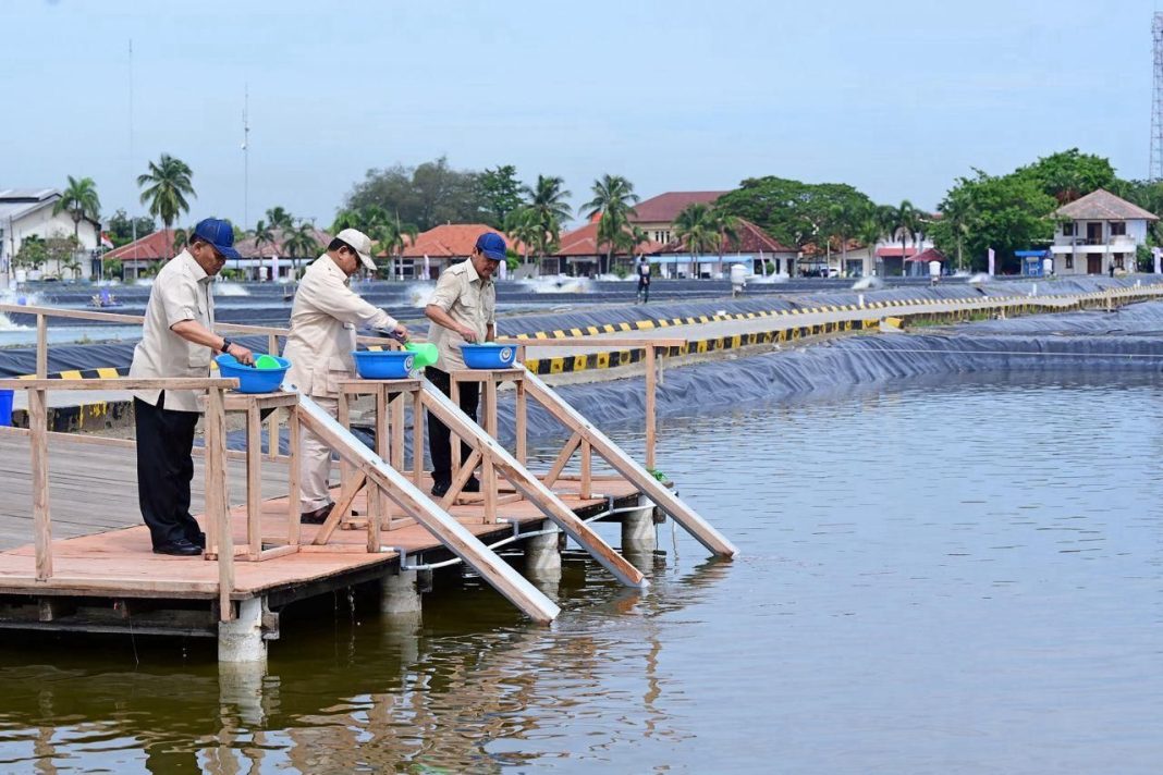 Presiden Prabowo Subianto mengunjungi Kawasan Balai Layanan Usaha Produksi Perikanan Budidaya (BLUPPB), Kabupaten Karawang, Provinsi Jawa Barat, Senin (02/12/2024). (Dok/BPMI Setpres)