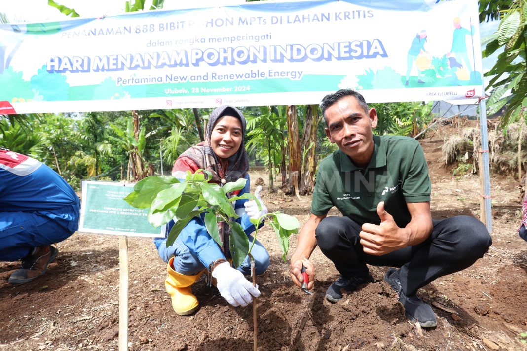 Aktivitas penanaman pohon di lahan kritis oleh Pertamina NRE, dalam rangka peringatan Hari Menanam Pohon Indonesia, yang berlangsung di Kecamatan Ulubelu, Kabupaten Tanggamus, Lampung, pada Kamis (28/11/2024). (Dok/Pertamina)