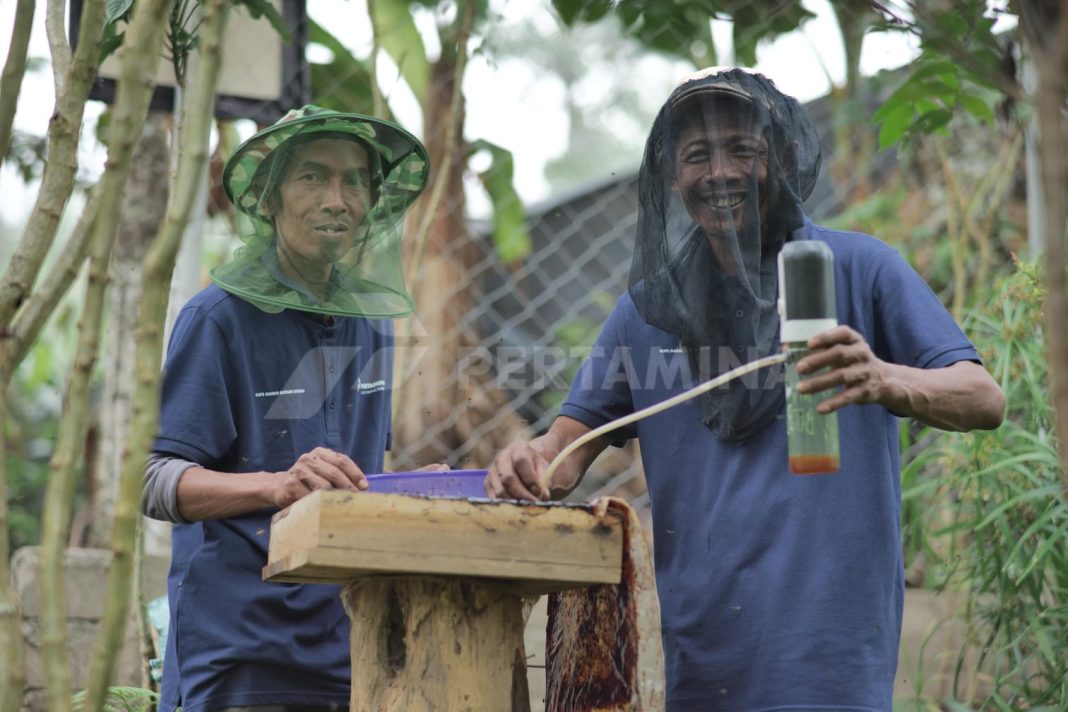 Pertamina mendukung pemanfaatan hutan secara berkelanjutan melalui program Hutan Lestari. (Dok/Pertamina)