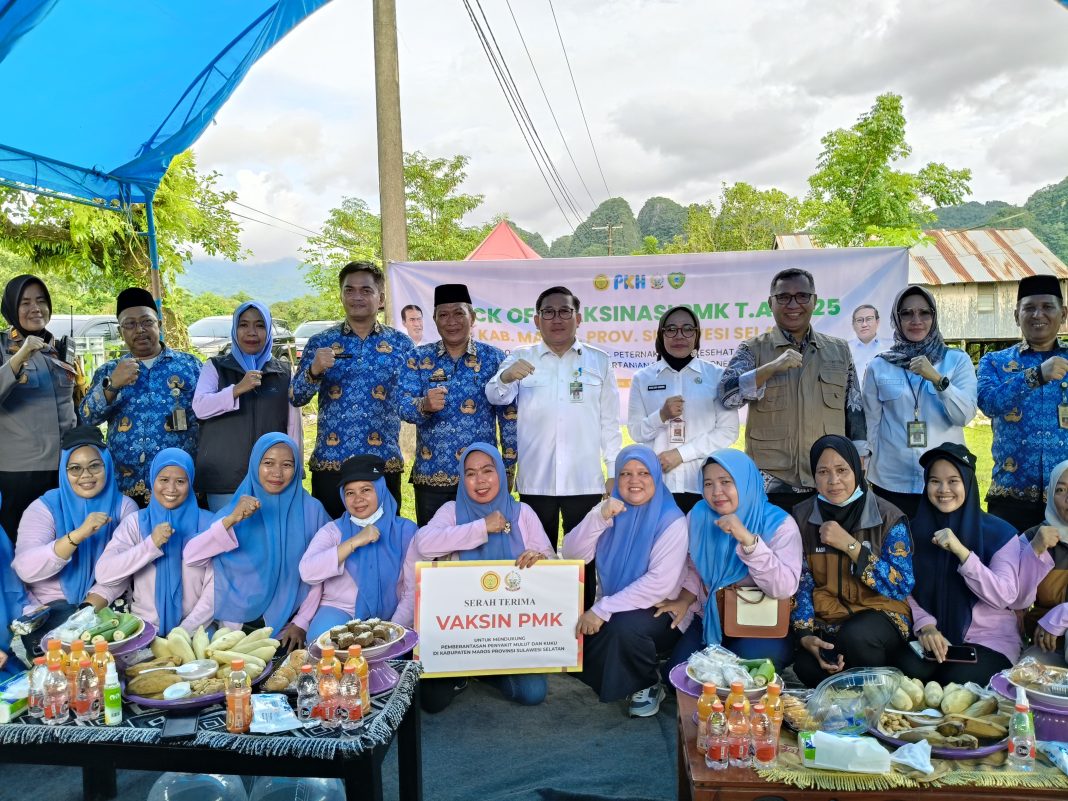 Penyerahan simbolis 1.000 dosis vaksin PMK pada Kick Off Vaksinasi PMK di Kelurahan Leang-leang, Kecamatan Bantimurung, Kabupaten Maros, Jumat (17/1/2025). (Dok/Humas PKH)