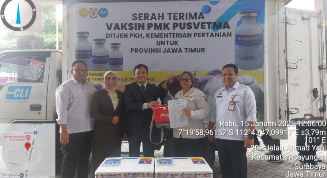 Tim Satgas PMK Ditjen PKH menyerahkan 165 ribu dosis vaksin PMK kepada Pemerintah Provinsi Jawa Timur, di Surabaya, Rabu (15/1/2025). (Dok/Humas PKH)