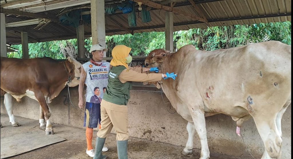 Tim dokter hewan di Kabupaten Rembang mulai melakukan vaksinasi untuk mencegah penyebaran penyakit mulut dan kaki (PMK) pada sapi. (Dok/Diskominfo Jateng)