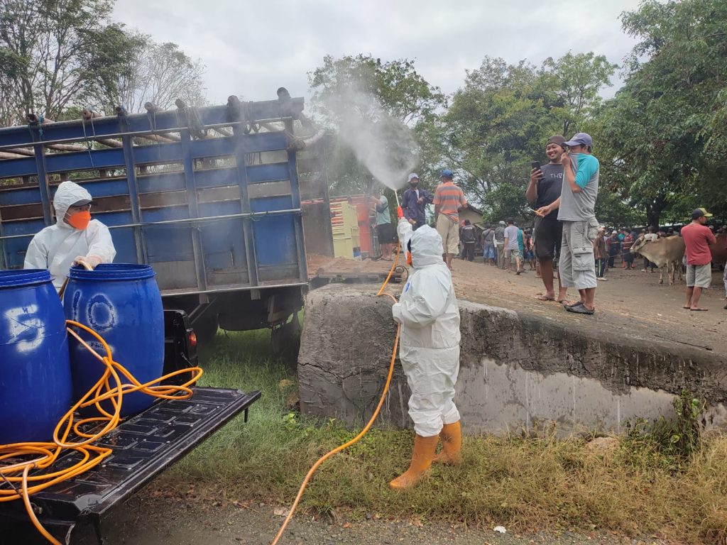 Penyemprotan desinfektan di lokasi peternakan dilakukan untuk mencegah penyebaran PMK di Jawa Tengah. (Dok/Diskominfo Jateng)