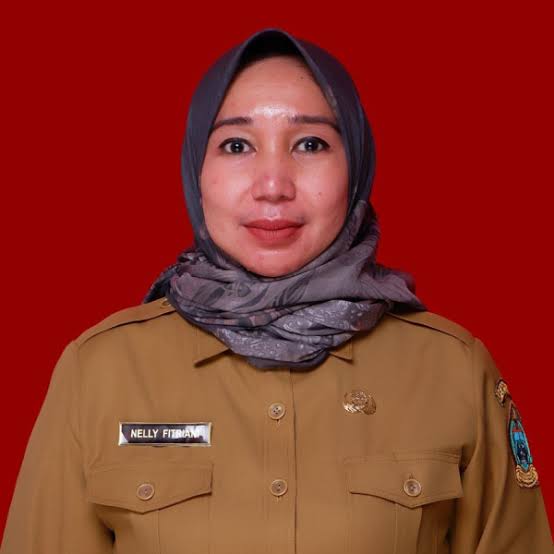 Kabid Yankes Dinas Kesehatan Sumut, dr Nelly Fitriani.