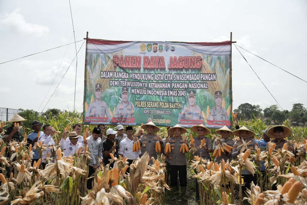 Kapolda Banten Irjen Pol Suyudi Ario Seto bersama jajaran kepolisian, pemerintah daerah, serta kelompok tani melaksanakan panen raya jagung hibrida di Kampung Pasir Situ, Desa Mekar Baru, Kecamatan Kopo, Kabupaten Serang, Kamis (20/2/2025). (Dok/Humas Polri)